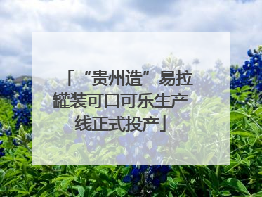 “贵州造”易拉罐装可口可乐生产线正式投产