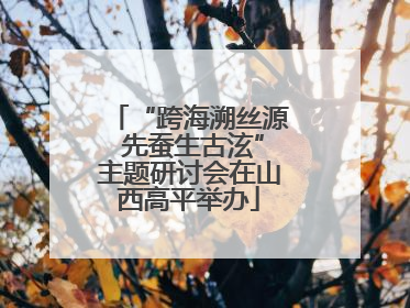 “跨海溯丝源 先蚕生古泫”主题研讨会在山西高平举办