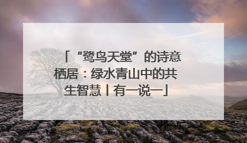 “鹭鸟天堂”的诗意栖居：绿水青山中的共生智慧丨有一说一