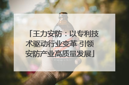 王力安防：以专利技术驱动行业变革 引领安防产业高质量发展