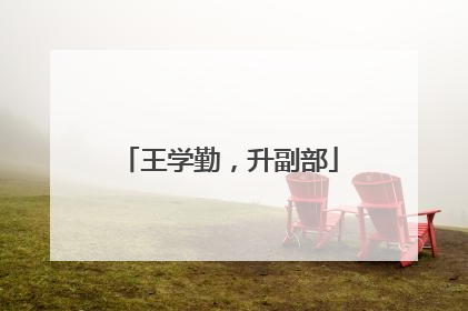 王学勤，升副部
