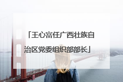 王心富任广西壮族自治区党委组织部部长