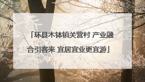环县木钵镇关营村 产业融合引客来 宜居宜业更宜游
