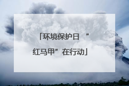 环境保护日 “红马甲”在行动