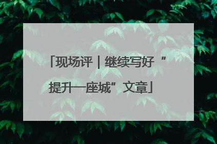 现场评｜继续写好“提升一座城”文章
