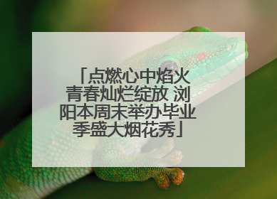 点燃心中焰火 青春灿烂绽放 浏阳本周末举办毕业季盛大烟花秀