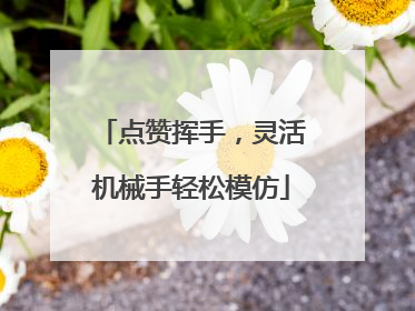 点赞挥手，灵活机械手轻松模仿