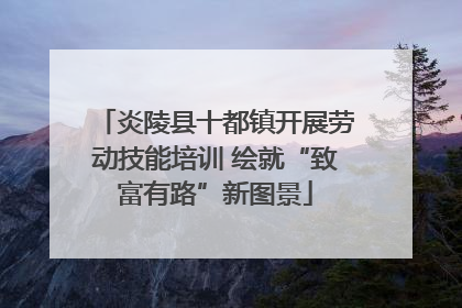 炎陵县十都镇开展劳动技能培训 绘就“致富有路”新图景