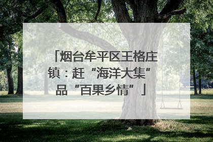 烟台牟平区王格庄镇：赶“海洋大集” 品“百果乡情”