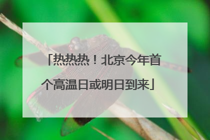 热热热！北京今年首个高温日或明日到来