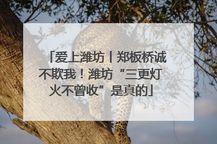 爱上潍坊丨郑板桥诚不欺我！潍坊“三更灯火不曾收”是真的