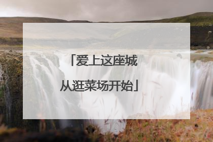 爱上这座城 从逛菜场开始