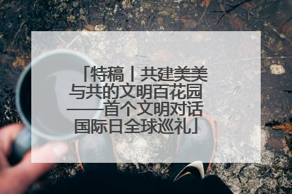 特稿丨共建美美与共的文明百花园——首个文明对话国际日全球巡礼