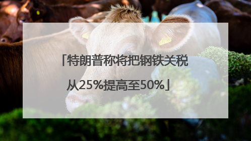 特朗普称将把钢铁关税从25%提高至50%