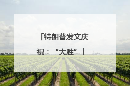 特朗普发文庆祝：“大胜”