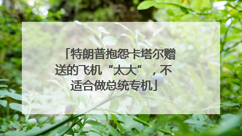 特朗普抱怨卡塔尔赠送的飞机“太大”，不适合做总统专机