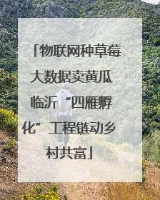 物联网种草莓 大数据卖黄瓜 临沂“四雁孵化”工程链动乡村共富