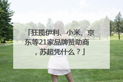 狂揽伊利、小米、京东等21家品牌赞助商，苏超凭什么？