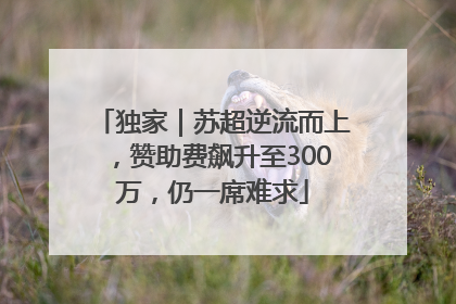 独家｜苏超逆流而上，赞助费飙升至300万，仍一席难求