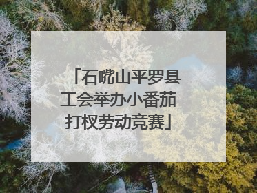 石嘴山平罗县工会举办小番茄打杈劳动竞赛