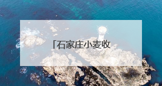 石家庄小麦收获进度约八成
