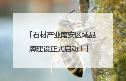 石材产业南安区域品牌建设正式启动！