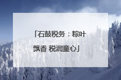 石鼓税务：粽叶飘香 税润童心