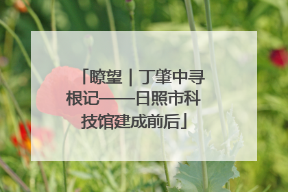 瞭望｜丁肇中寻根记——日照市科技馆建成前后