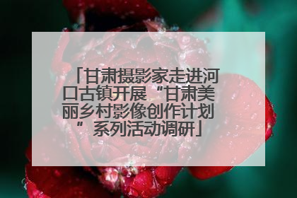 甘肃摄影家走进河口古镇开展“甘肃美丽乡村影像创作计划”系列活动调研