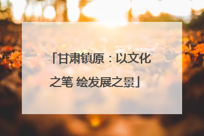 甘肃镇原：以文化之笔 绘发展之景