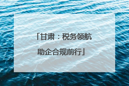 甘肃：税务领航 助企合规前行