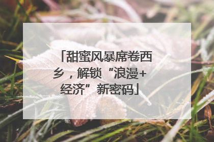 甜蜜风暴席卷西乡，解锁“浪漫+经济”新密码