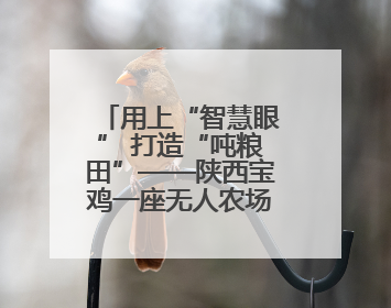用上“智慧眼” 打造“吨粮田”——陕西宝鸡一座无人农场夏收见闻