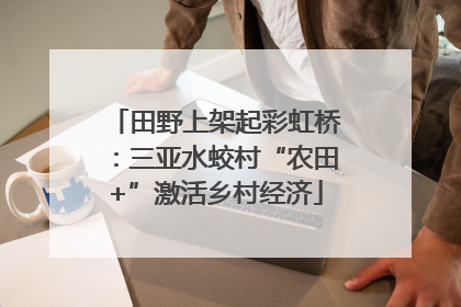 田野上架起彩虹桥：三亚水蛟村“农田+”激活乡村经济