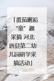 番茄邂逅 “童”趣采摘 河北唐县第二幼儿园研学采摘活动