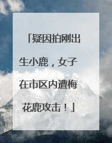 疑因拍刚出生小鹿，女子在市区内遭梅花鹿攻击！