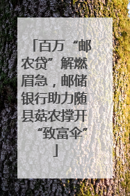 百万“邮农贷”解燃眉急，邮储银行助力随县菇农撑开“致富伞”
