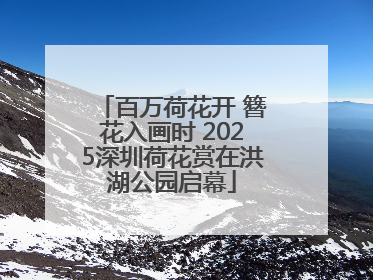 百万荷花开 簪花入画时 2025深圳荷花赏在洪湖公园启幕