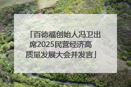 百德福创始人冯卫出席2025民营经济高质量发展大会并发言