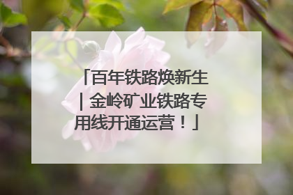 百年铁路焕新生｜金岭矿业铁路专用线开通运营！