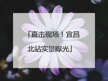 直击现场！宜昌北站实景曝光