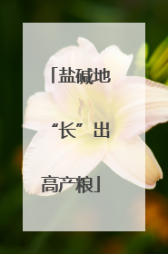 盐碱地“长”出高产粮