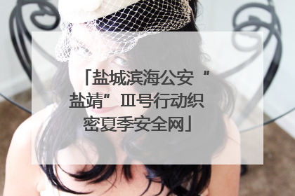 盐城滨海公安“盐靖”Ⅲ号行动织密夏季安全网
