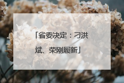 省委决定：刁洪斌、荣刚履新