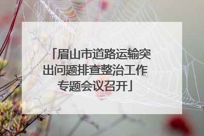 眉山市道路运输突出问题排查整治工作专题会议召开