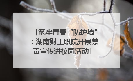 筑牢青春“防护墙”：湖南财工职院开展禁毒宣传进校园活动