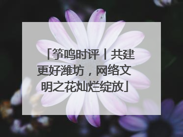 筝鸣时评丨共建更好潍坊，网络文明之花灿烂绽放
