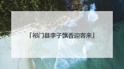 祁门县李子飘香迎客来