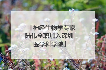 神经生物学专家陆伟全职加入深圳医学科学院
