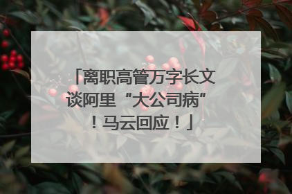 离职高管万字长文谈阿里“大公司病”！马云回应！